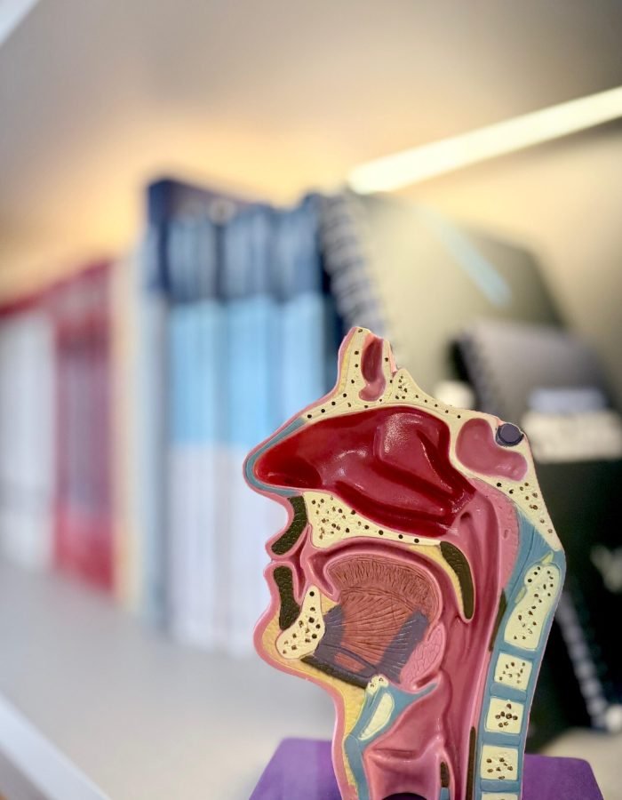 WhatsApp Image 2026-04-16 at 18.06.03 (5)